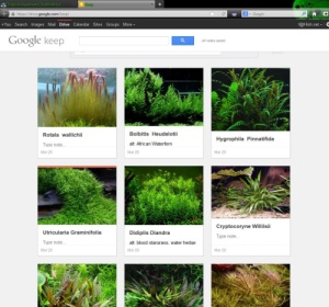 google keep.JPG