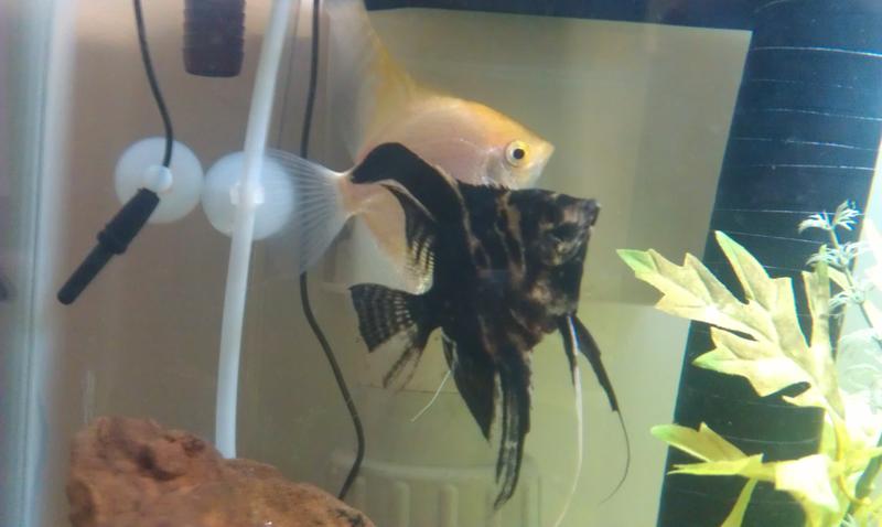 IMAG0101.jpg