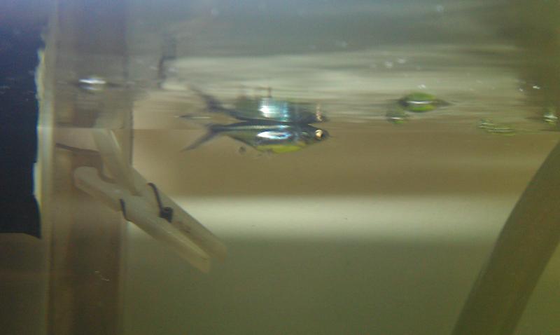IMAG0115.jpg