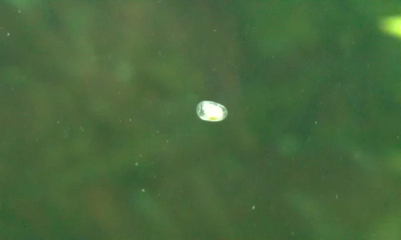 IMAG0171.jpg