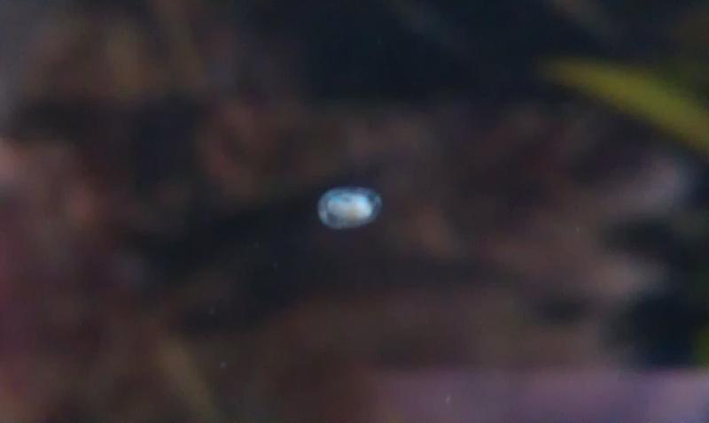 IMAG0172.jpg