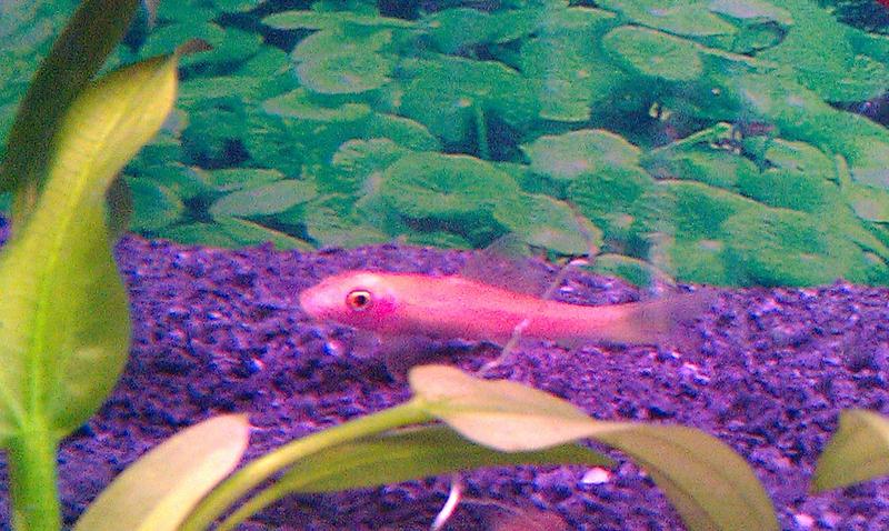 IMAG0393.jpg