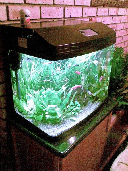 Image047000.jpg