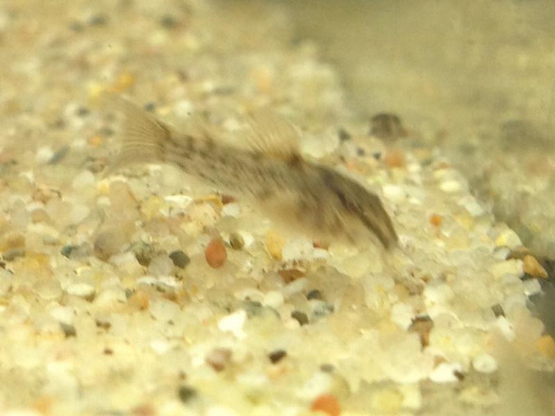 ImageUploadedByTapatalk1412107850.251480.jpg