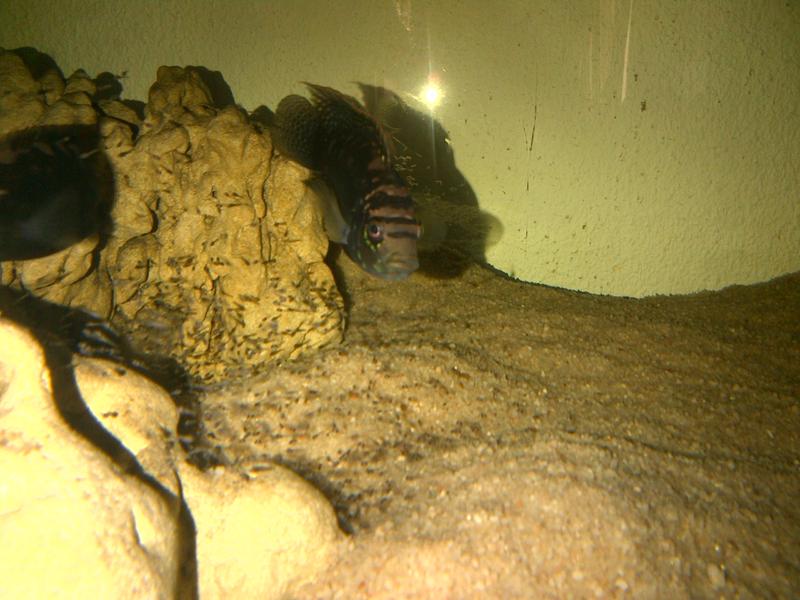 IMG-20120130-00238.jpg