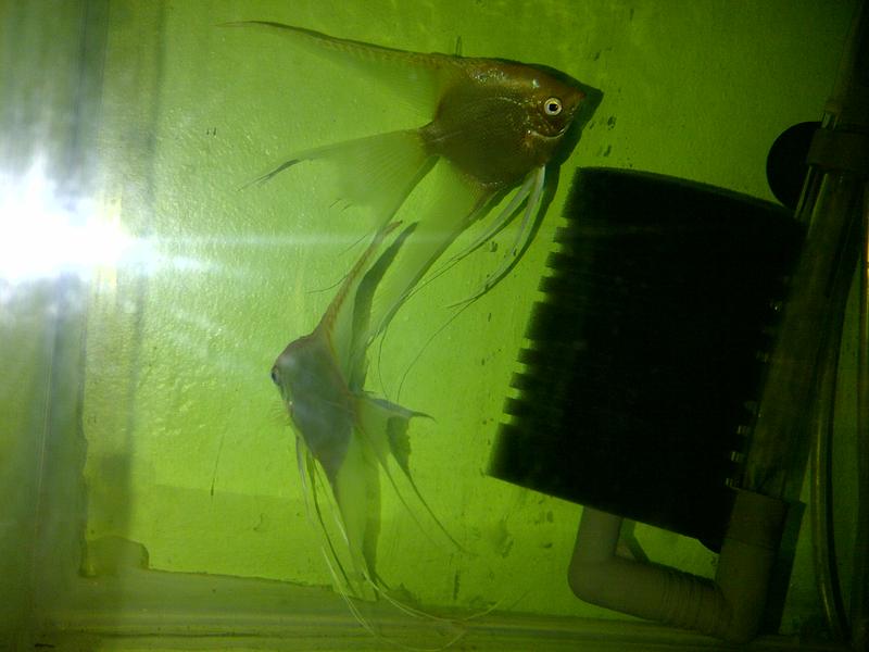 IMG-20120211-01586.jpg