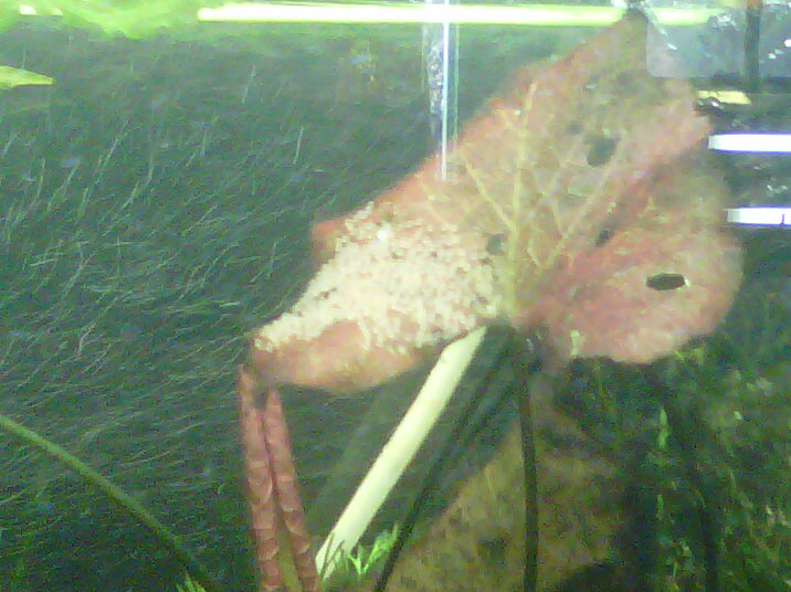 IMG-20120623-00012.jpg