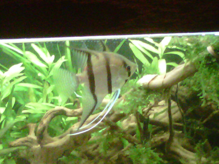 IMG-20120901-00007.jpg