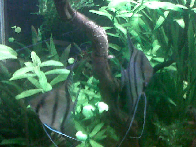 IMG-20121013-00086.jpg