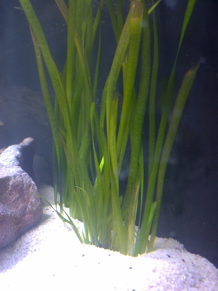IMG-20130107-01121.jpg