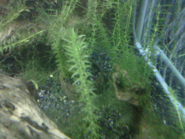 IMG-20140618-00621.jpg
