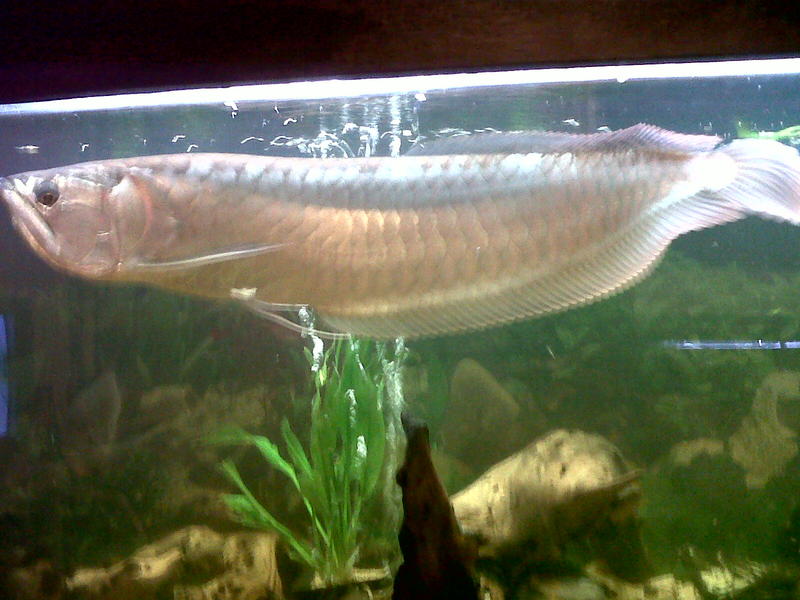 IMG00005-20110503-1935.jpg
