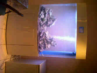 IMG00399-20120226-2039.jpg