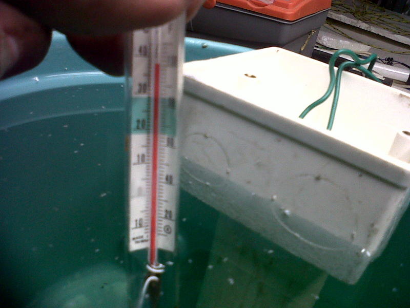 IMG00458-20130328-2324.jpg