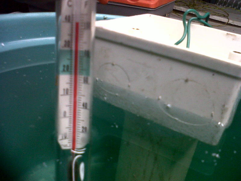 IMG00459-20130328-2324.jpg