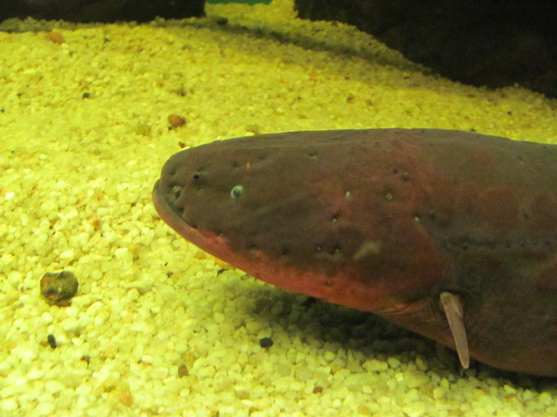 IMG_1771.jpg