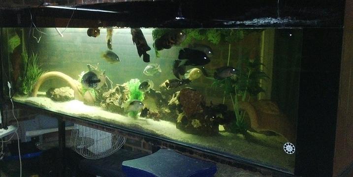 IMG_20140720_221529.jpg
