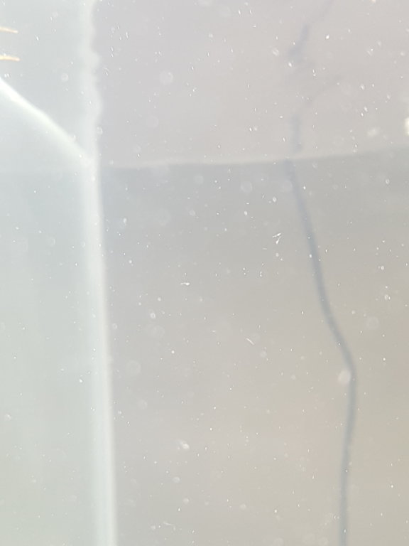 IMG_20180508_195647.jpg