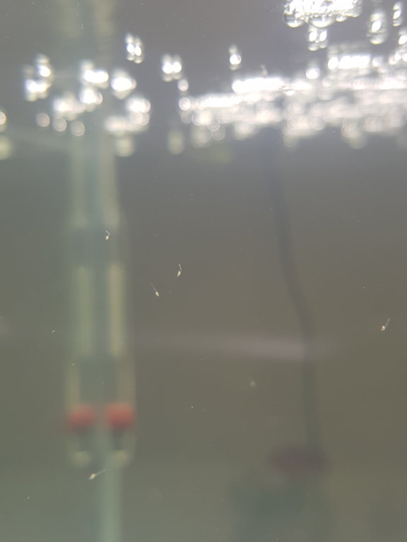 IMG_20180508_210046.jpg