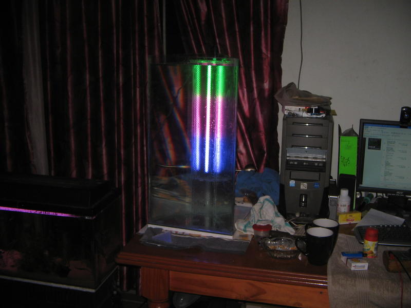 IMG_4373.jpg