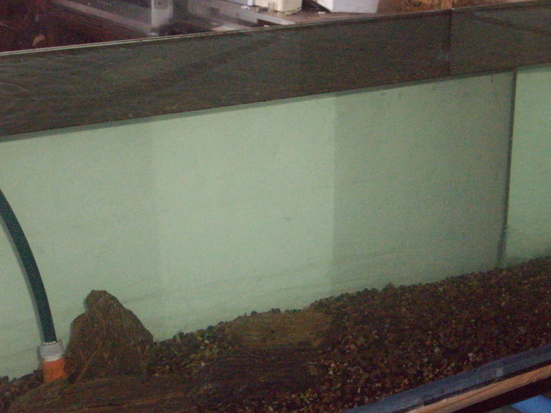 IMGP1135.jpg