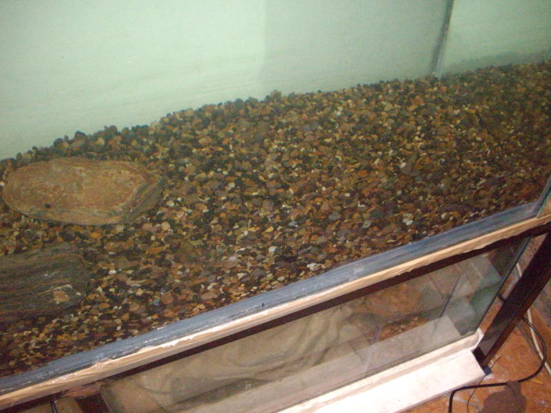 IMGP1141.jpg
