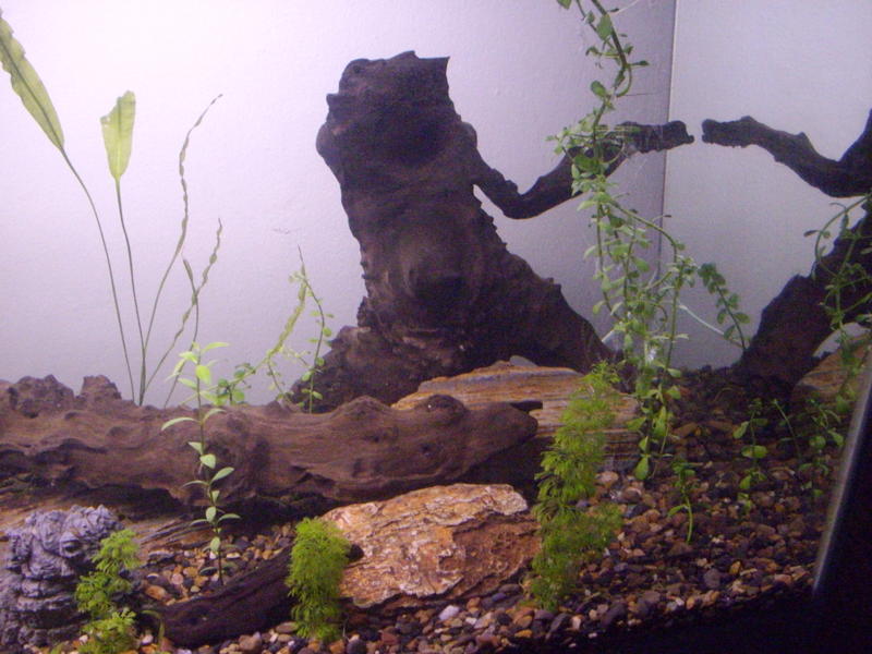 IMGP1205.jpg