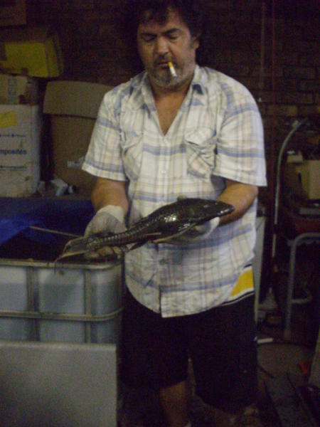 IMGP1236.jpg