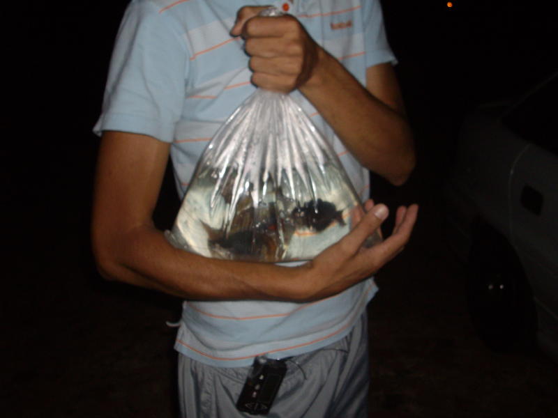 IMGP1425.jpg