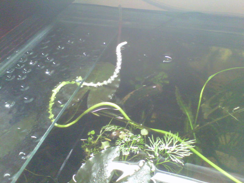 Johannesburg-20120628-00016.jpg