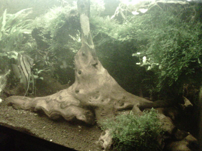 Johannesburg-20120927-00029.jpg