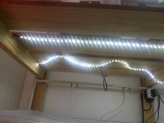 LED 14.jpg