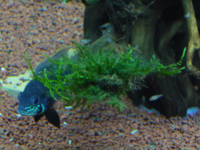 P1020944.jpg