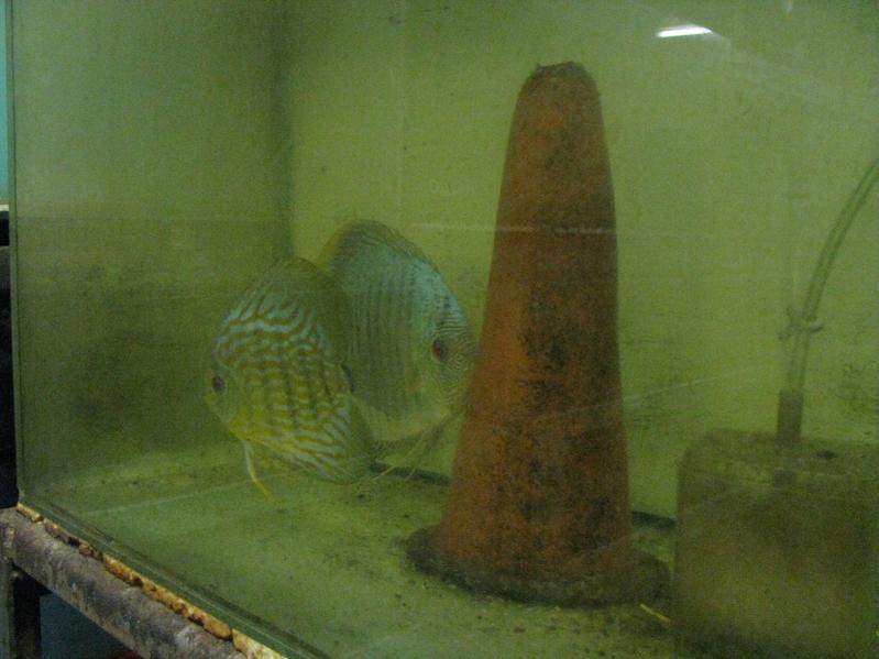 pic 10.jpg