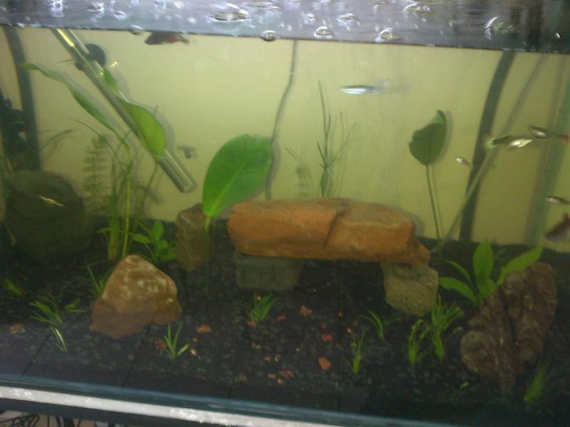 Randburg-20120911-00073.jpg