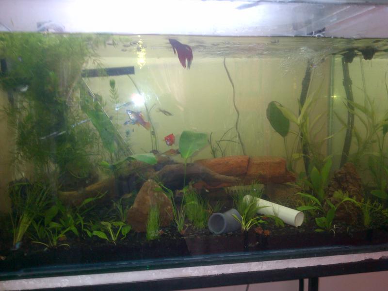 Randburg-20120923-00101.jpg