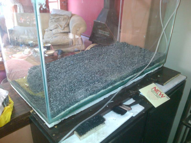 Randburg-20121007-00115.jpg