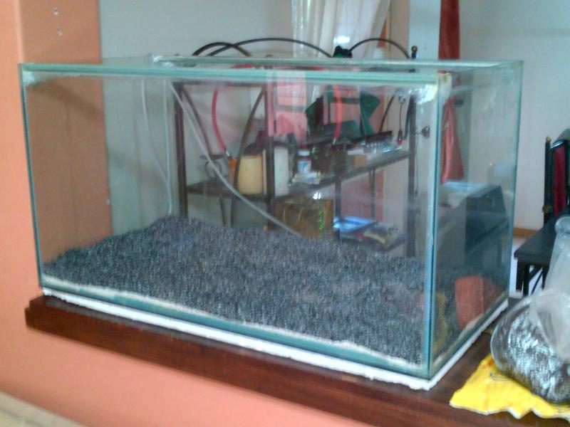 Randburg-20121007-00117.jpg