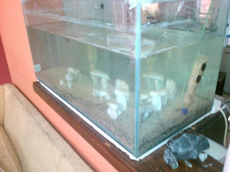 Randburg-20121009-00119.jpg