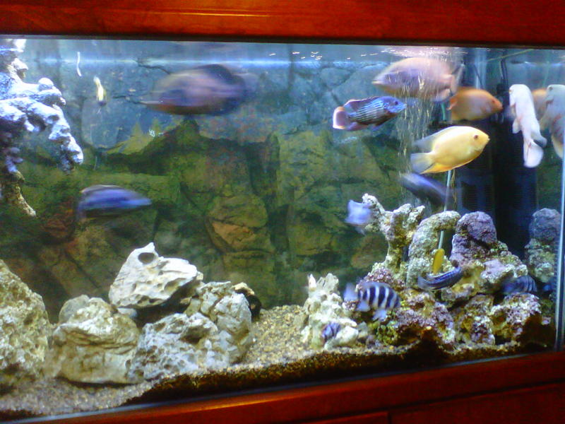Sandton-20120609-00183.jpg