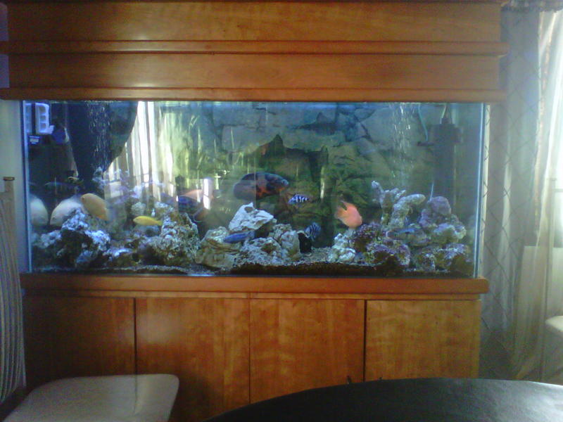 Sandton-20120612-00190.jpg