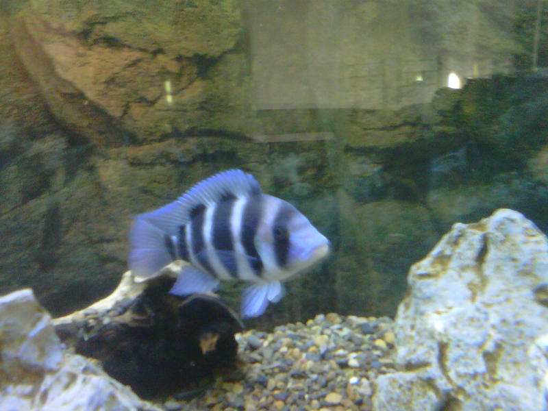 Sandton-20120612-00193.jpg