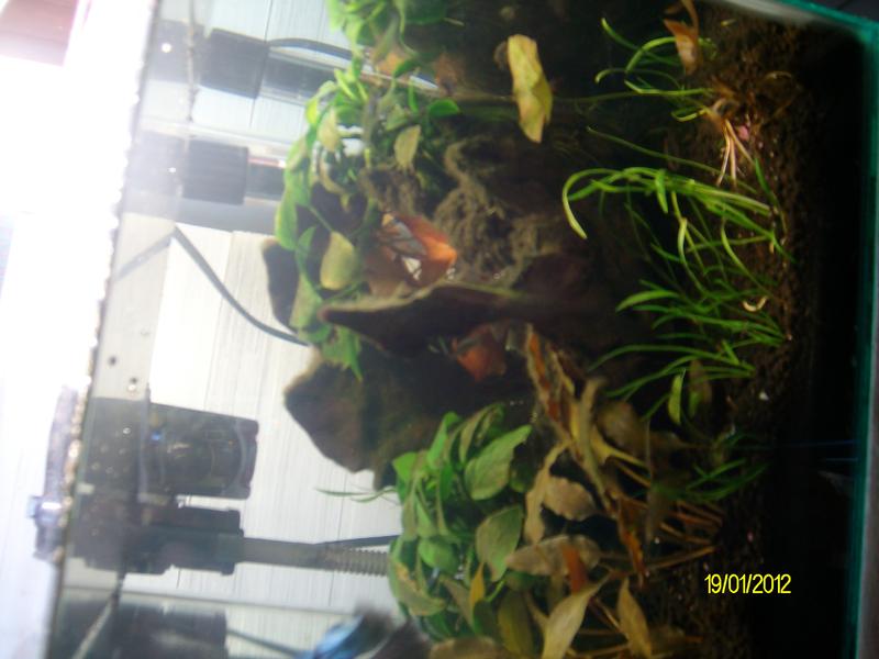 SANY2096.jpg