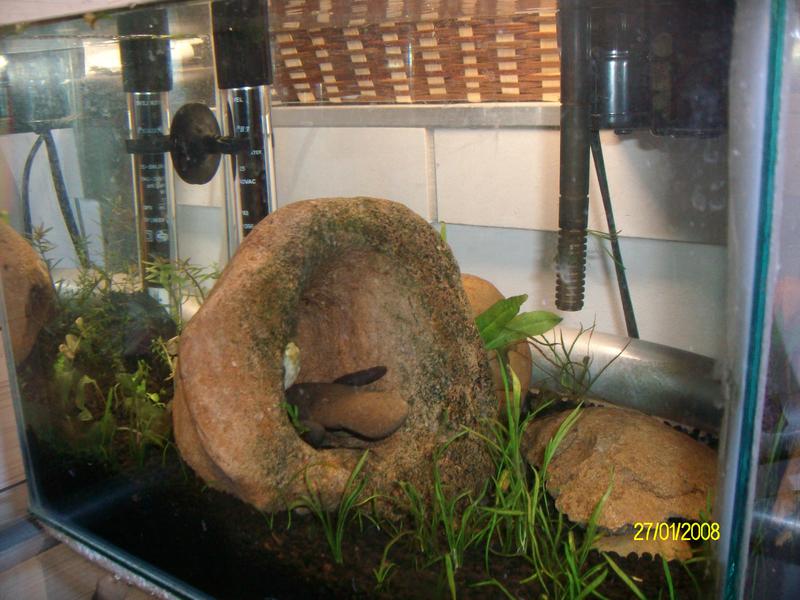 SANY2215.jpg