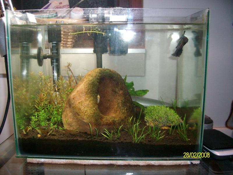 SANY2251.jpg