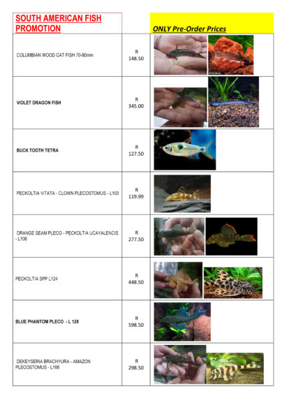 SOUTH-AMERICAN-FISH-1.jpg