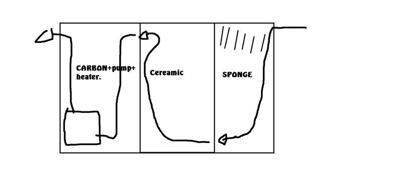 Sumptasa.jpg