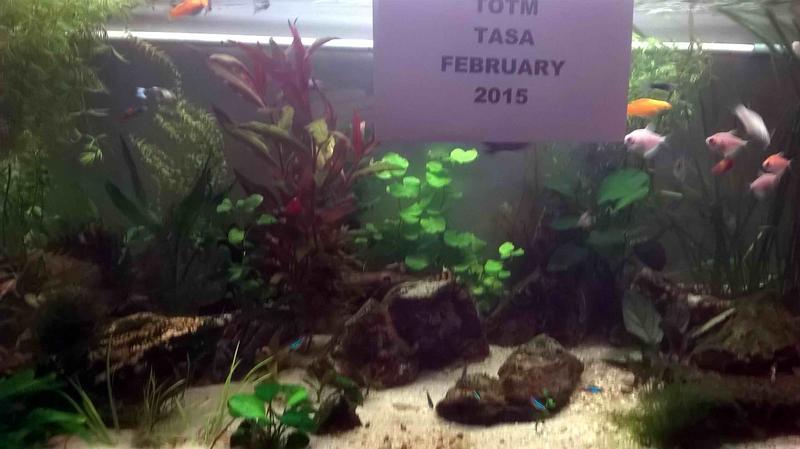TOTM Verfication Feb 2015.jpg