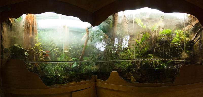 Vivarium.jpg