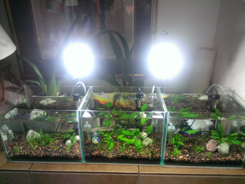WP_20130711_003.jpg